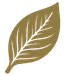 listmonk